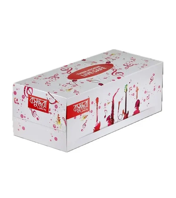 Bashundhara Facial Tissue (Big)